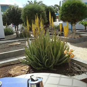 apart10a.in-canary-islands.com/